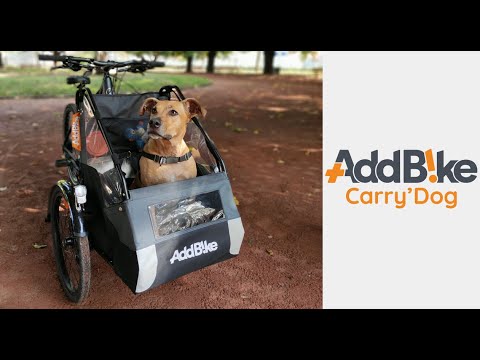 Transportez votre chien avec la Carry'Dog | Transport your dog with the Carry'Dog ? ?