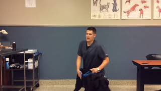 VTI - FW Jugular Venipuncture Restraint on Floor - Canine