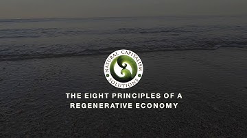 The Eight Principles of a Regenerative Economy