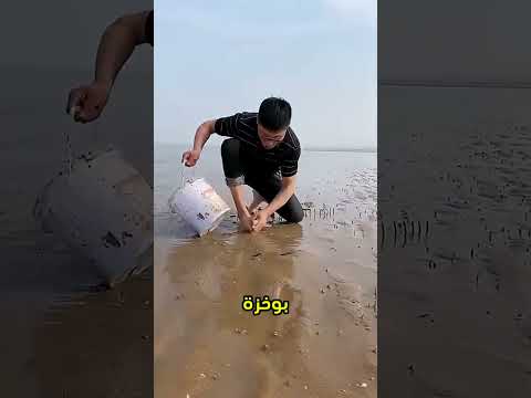 لهذا السبب لا يجب عليك المشي على الشاطئ وانت حافي