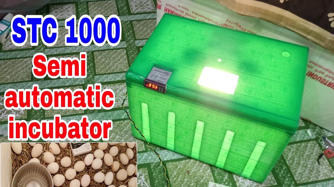 Stc1000 semi automatic incubator | चूजे बनाने का मसीन ऐसे बनता है