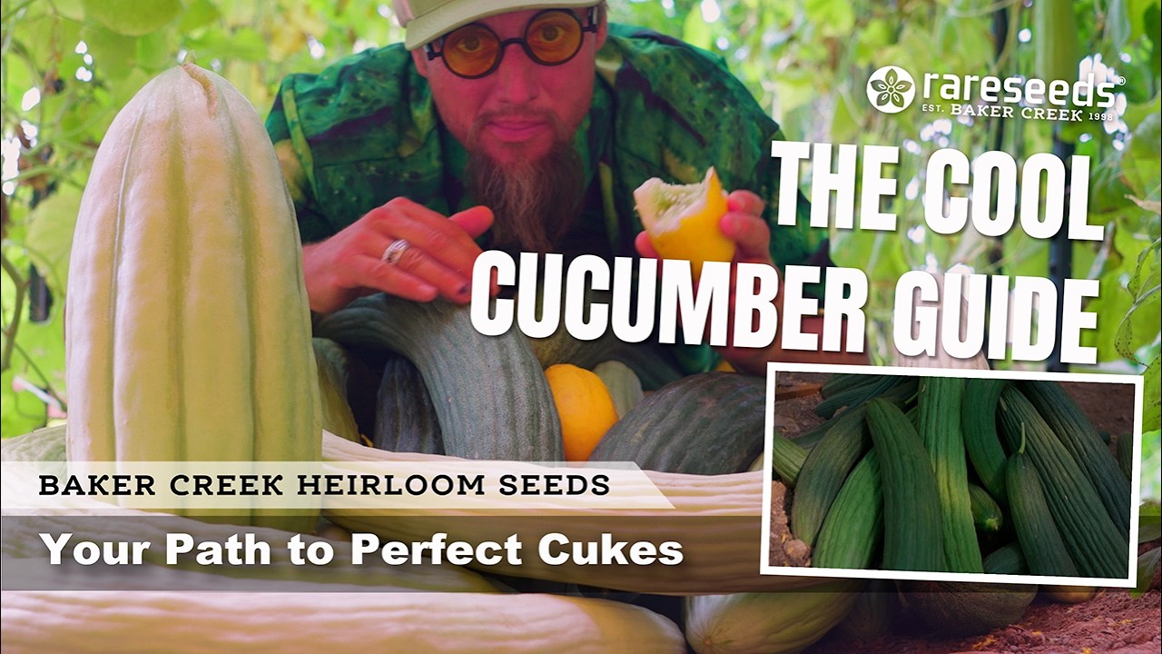 Руководство по выращиванию огурцов | Ваш путь к идеальным огурцам