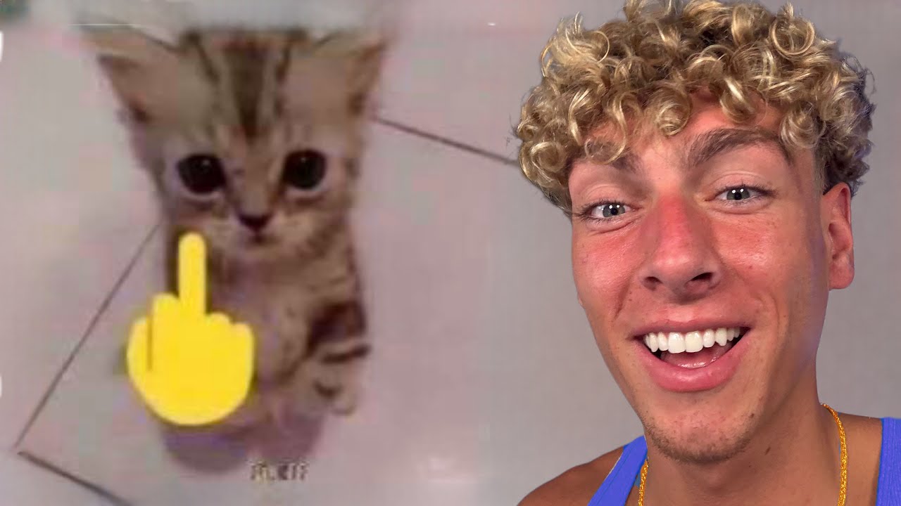 САМЫЕ СМЕШНЫЕ Низкокачественные мемы