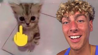FUNNIEST Low Quality Memes