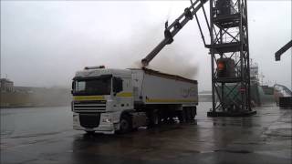 Loading oats on bulk tipper using ship loading spout