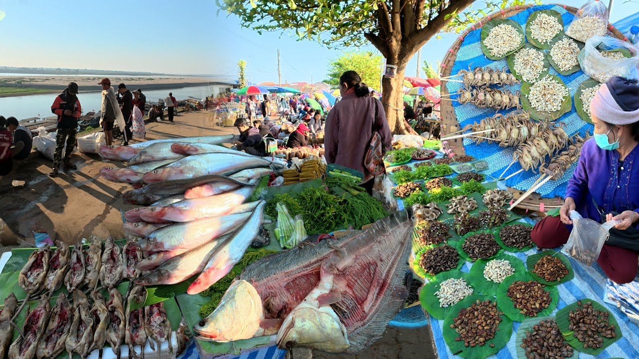 เครื่องจักสาน อาหารป่า แมงแคง ไข่มดแดง ปลาน้ำโขง | ตลาดนัดไทย ลาว อ.ธาตุพนม จ.นครพนม