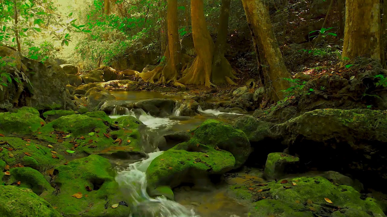 Chinese New Age Music - Tea Music - Chinese Tea Ballads