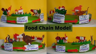 Food chain working model | food chain model|food chain project | | 3D model food chain