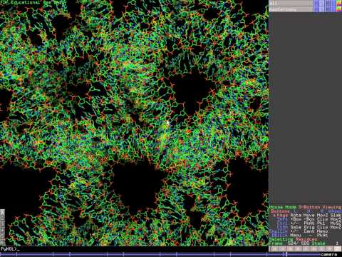 dna matrix