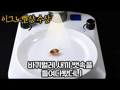 해외에서 난리난 '사기급 슈퍼푸드’의 진짜 출처