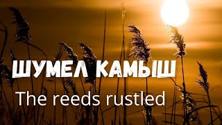 The reeds rustled - Russian folk song with double subtitles