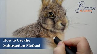 How to Use the Subtraction Technique | Coloured Pencil Techniques