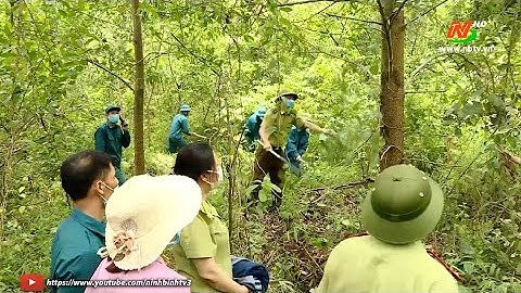 Tăng cường các biện pháp cấp bách phòng cháy, chữa cháy rừng