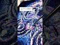 アートをやたら比べたがる人へ