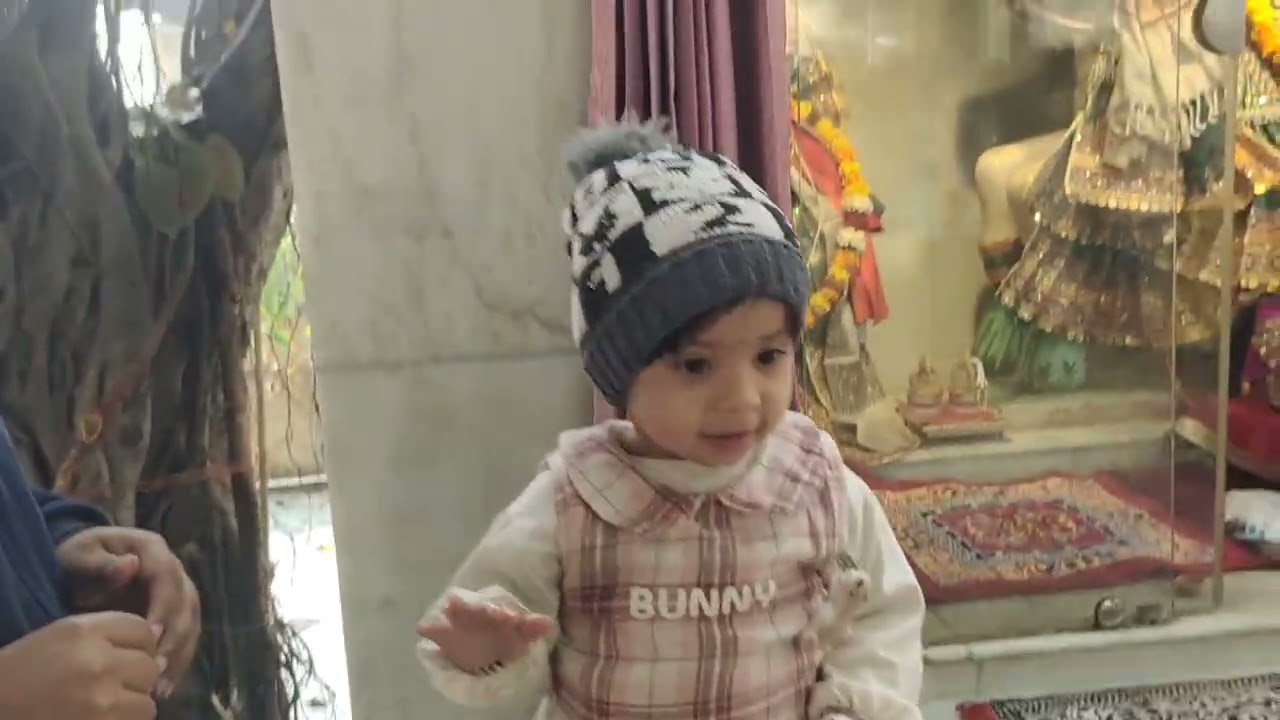 मकर संक्रांति पर की गाय सेवा और बनाई तिल की बर्फी 