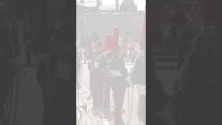 Guard falls backwards at Windsor Castle