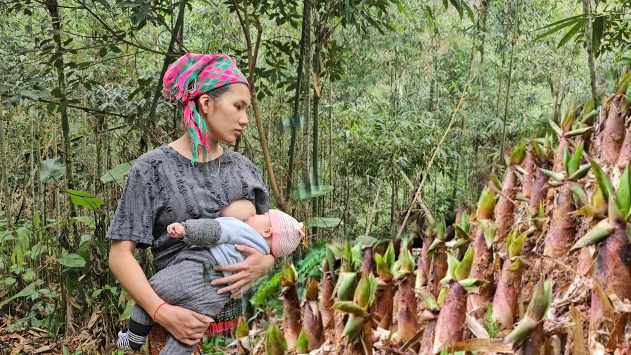 Full video 70 days of single mother and baby surviving in the deep forest, using bamboo as a house.