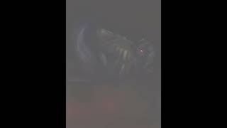 A̵̬͌͊M̴̖͐̂D̵̜̈́͑ͅȔ̵̟͐S̶̹̔Ì̵̞̖A̸̗͗S̸̙̤͗͝ | rose of life #mlp #mylittlepony #fluttershy