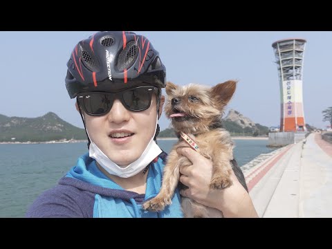 멍멍이랑 선유도 자전거길 탐방