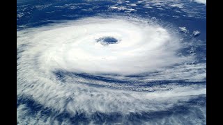 What's the difference between hurricanes, cyclones and typhoons Profile
