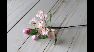 Apple Blossom Paper Flower Making by Archana Joshi