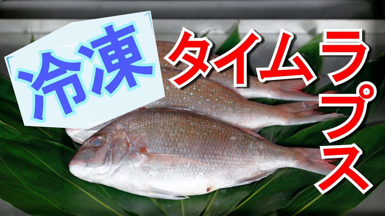 【最新の冷凍技術】プロトン凍結の微速度映像