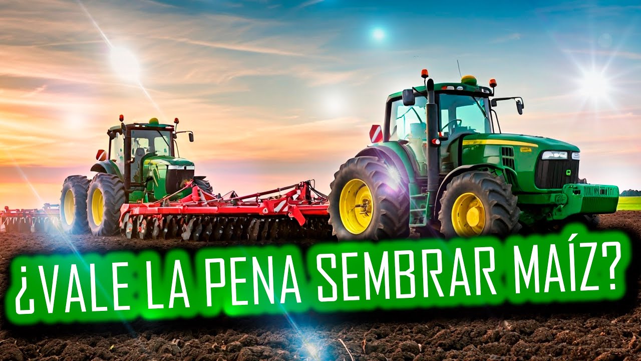 ¿Cuánto GANA un productor de MAÍZ por hectárea? 💰