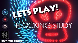 LET'S PLAY - FLOCKING STUDY