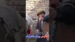 Ismail Shahid funny short shorts shortvideo