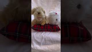 VTG Plush Singing Dogs on Plaid Pillow \\