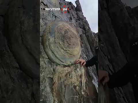 Якутия поднялась в рейтинге туристической привлекательности #якутия #туризм #природа