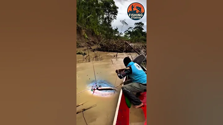 CRAZY Catch in Floodwaters! 🤯 #amazing #fishing #bigfish #catfish #shorts