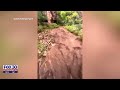 Flash flooding hits Grand Canyon region, one dead and multiple missing