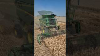 Advanced Paddy Cutting Machine Working Fast at Noon #shorts #paddy #technology #noon