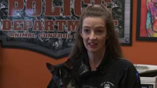Jonesboro Animal Control