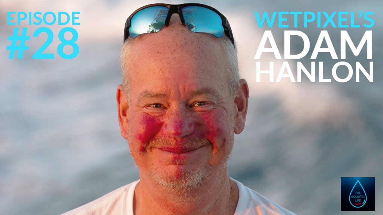 The Aquatic Life Meets Adam Hanlon - YouTube
