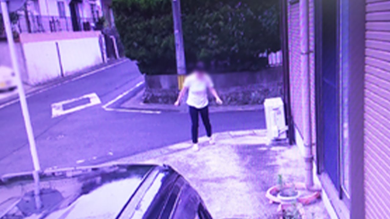 【緊急】コイツにペットを盗まれました。助けてください。