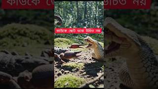 Snake and scorpion fight #shorts #magic #funny #trending #virals