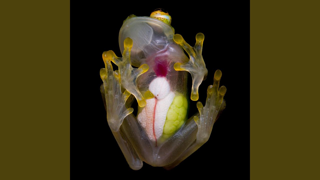 Obejrzyj Exist w YouTube Obejrzyj Exist w YouTube