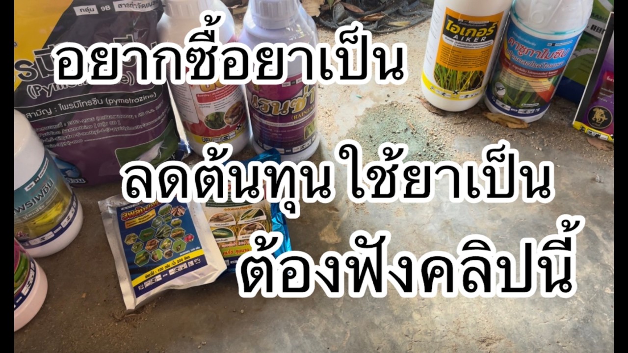 ซื้อยาใช้ในนาข้าวต้องดู