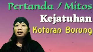 Signs / Myths of Bird Droppings