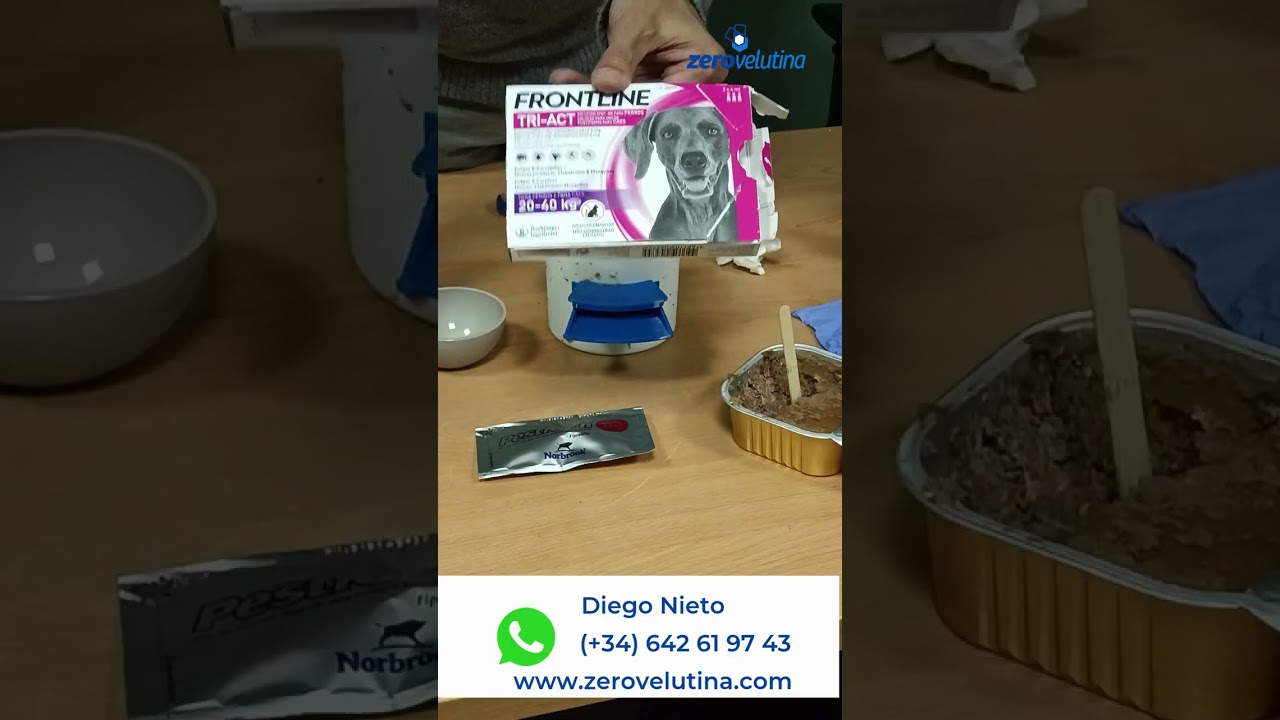 Como se coloca la trampa Anti velutina