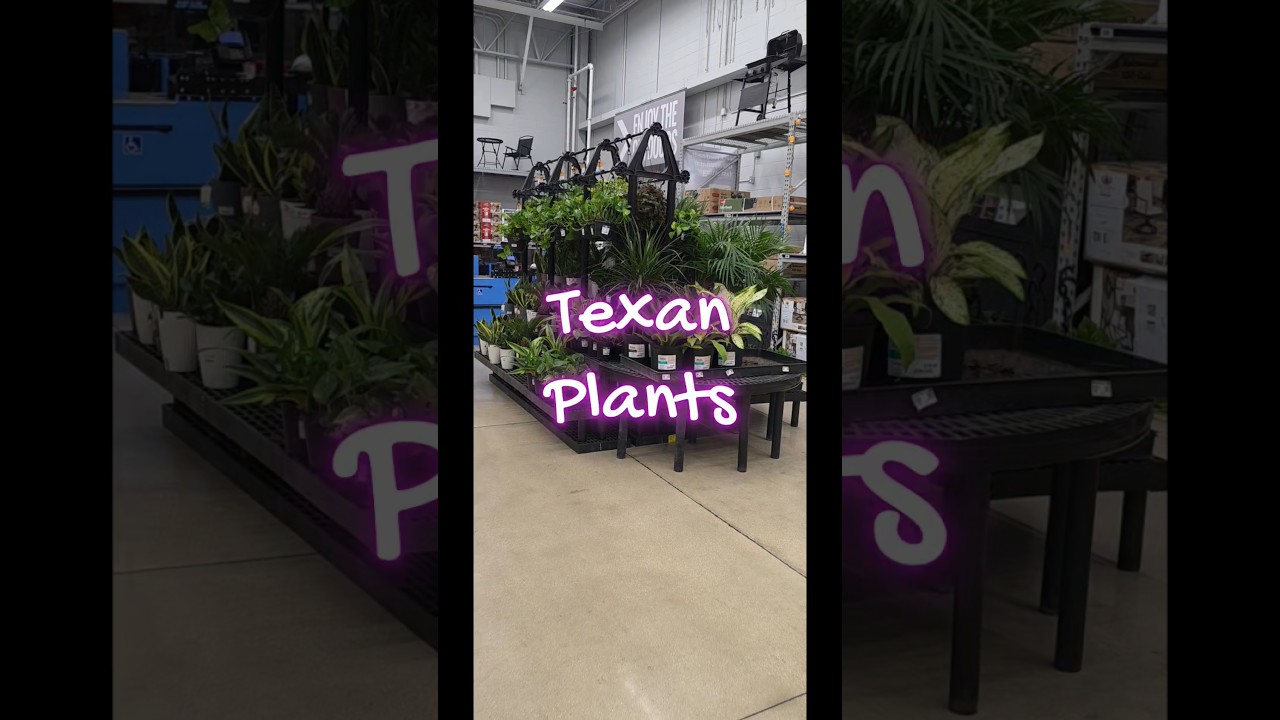 For All The Plants That Identify As Texan. 