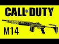 M14 - Call of Duty EVOLUTION (2023)