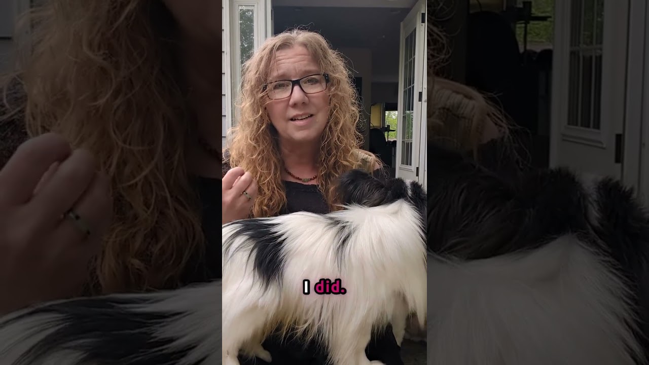 HOW TO MAKE 6-FIGURES WITHOUT HIRING A LARGE TEAM? | Conscious Pet Sitter