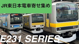 2025年 JR東日本 E231系寄せ集め Assortment of JR-EAST E231 series train cars