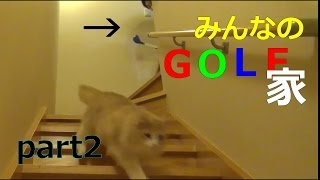 家の中でリアルみんなのゴルフ！！part2