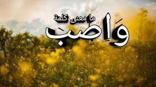 معنى واصب (في القرآن الكريم)