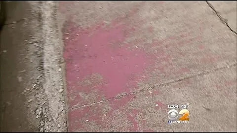 Police Investigate Brooklyn Paint Attacks On Jews As Possible Hate Crimes