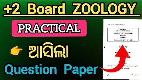 class 12 zoology practical question paper | zoology practical chse odisha 2024 25